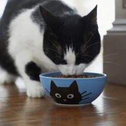 Frisco Cat Face Non-skid Ceramic Cat Bowl, Blue 7 Frisco Cat Face Non-skid Ceramic Cat Bowl, Blue -Frisco 256103 PT4. AC SS1800 V1617997004