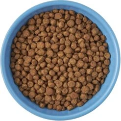 Frisco Cat Face Non-skid Ceramic Cat Bowl, Blue 8 Frisco Cat Face Non-skid Ceramic Cat Bowl, Blue -Frisco 256103 PT5. AC SS1800 V1615312900