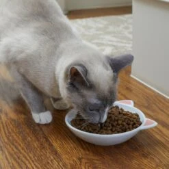 Frisco Cat Face Non-skid Ceramic Cat Dish 9 Frisco Cat Face Non-skid Ceramic Cat Dish -Frisco 256105 PT2. AC SS1800 V1615310882