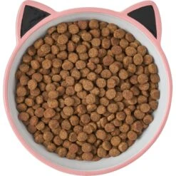 Frisco Cat Face Non-skid Ceramic Cat Bowl, Pink -Frisco 256107 PT5. AC SS1800 V1616522494