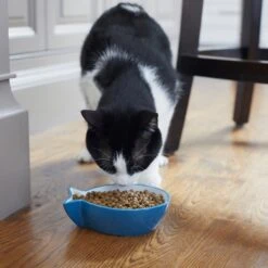 Frisco Fish Shaped Non-skid Ceramic Cat Bowl 14 Frisco Fish Shaped Non-skid Ceramic Cat Bowl -Frisco 256111 PT6. AC SS1800 V1617037703