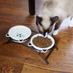 Frisco Cat Face Non-skid Elevated Double Ceramic Cat Bowl 10 Frisco Cat Face Non-skid Elevated Double Ceramic Cat Bowl -Frisco 256113 PT2. AC SS1800 V1616522604