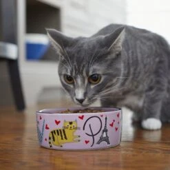 Frisco Paris Non-skid Ceramic Cat Dish -Frisco 256117 PT2. AC SS1800 V1615311397