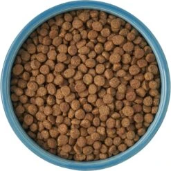 Frisco New York Non-skid Ceramic Cat Bowl -Frisco 256121 PT5. AC SS1800 V1615311387