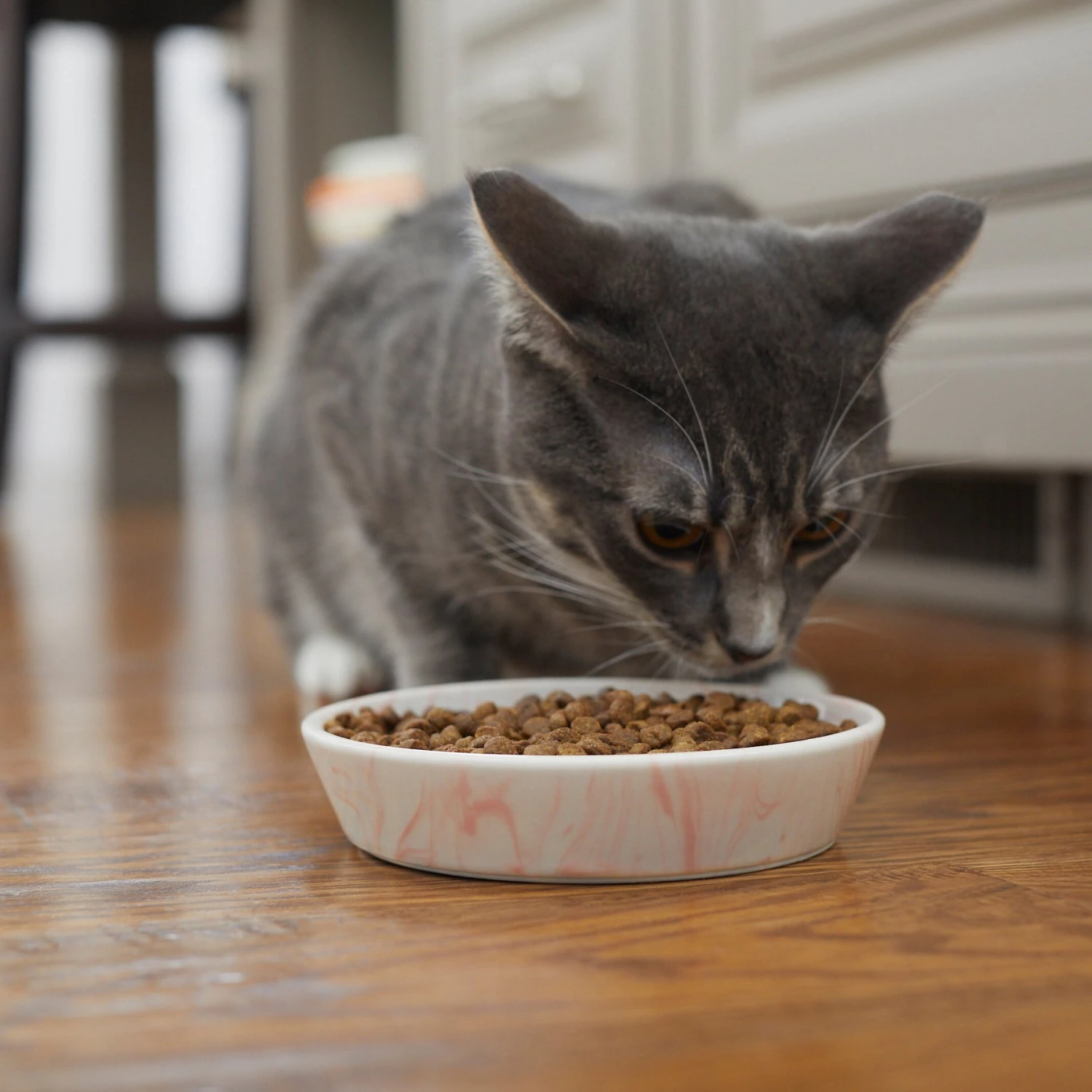 Frisco Marble Design Non-skid Ceramic Cat Bowl 8 Frisco Marble Design Non-skid Ceramic Cat Bowl - Image 6