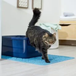Frisco Quilted Cat Litter Mat 10 Frisco Quilted Cat Litter Mat -Frisco 258210 PT3. AC SS1800 V1675279933