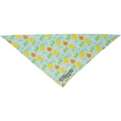 Frisco Citrus Personalized Dog & Cat Bandana -Frisco 258758 PT3. AC SS1800 V1619559797