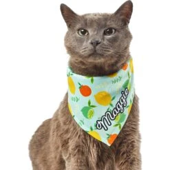 Frisco Citrus Personalized Dog & Cat Bandana -Frisco 258758 PT7. AC SS1800 V1619560408