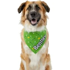 Frisco Golf Personalized Dog & Cat Bandana -Frisco 263017 PT6. AC SS1800 V1619557636
