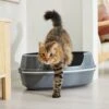 Frisco Corner Sifting Cat Litter Box With Rim 1 Frisco Corner Sifting Cat Litter Box With Rim -Frisco 264933 MAIN. AC SS1800 V1675279641