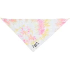 Frisco Tiedye Personalized Dog & Cat Bandana -Frisco 267482 PT2. AC SS1800 V1632688902