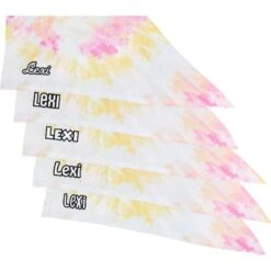 Frisco Tiedye Personalized Dog & Cat Bandana -Frisco 267482 PT4. AC SS1800 V1632416499