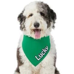 Frisco Solid Color Personalized Dog & Cat Bandana -Frisco 267489 PT6. AC SS1800 V1632418582