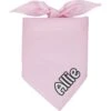 Frisco Solid Pastel Personalized Dog & Cat Bandana 2 Frisco Solid Pastel Personalized Dog & Cat Bandana -Frisco 267514 MAIN. AC SS1800 V1701982979
