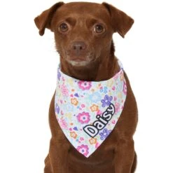 Frisco Bright Floral Personalized Dog & Cat Bandana -Frisco 267535 PT7. AC SS1800 V1623164573
