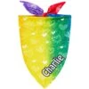 Frisco Rainbow Hearts Personalized Dog & Cat Bandana