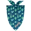 Frisco Cactus Personalized Dog & Cat Bandana -Frisco 267551 MAIN. AC SS1800 V1623093450