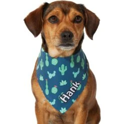 Frisco Cactus Personalized Dog & Cat Bandana 16 Frisco Cactus Personalized Dog & Cat Bandana -Frisco 267551 PT7. AC SS1800 V1623164614