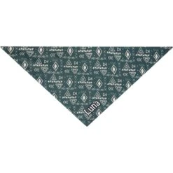 Frisco Boho Geo Personalized Dog & Cat Bandana -Frisco 267559 PT3. AC SS1800 V1623094369