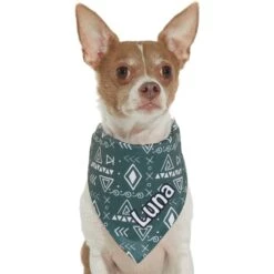 Frisco Boho Geo Personalized Dog & Cat Bandana -Frisco 267559 PT7. AC SS1800 V1623164863
