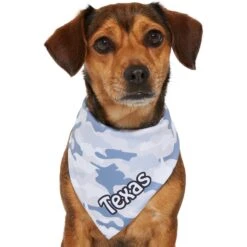 Frisco Gray Camo Personalized Dog & Cat Bandana 16 Frisco Gray Camo Personalized Dog & Cat Bandana -Frisco 267571 PT7. AC SS1800 V1623164679
