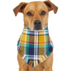 Frisco Blue/Yellow Plaid Dog & Cat Flannel Bandana 12 Frisco Blue/Yellow Plaid Dog & Cat Flannel Bandana -Frisco 267901 PT2. AC SS1800 V1637717796