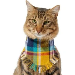Frisco Blue/Yellow Plaid Dog & Cat Flannel Bandana 13 Frisco Blue/Yellow Plaid Dog & Cat Flannel Bandana -Frisco 267901 PT3. AC SS1800 V1637677287