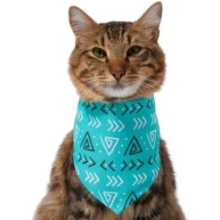Frisco Geometric Dog & Cat Bandana 13 Frisco Geometric Dog & Cat Bandana -Frisco 267907 PT3. AC SS1800 V1637678544