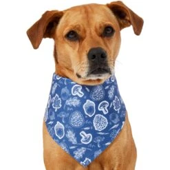 Frisco Fall Vibes Dog & Cat Bandana -Frisco 267913 PT2. AC SS1800 V1637722647