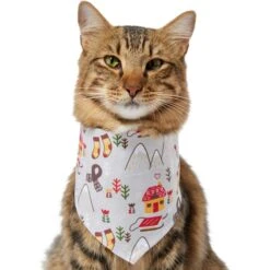 Frisco Wintry Vibes Dog & Cat Bandana -Frisco 267916 PT3. AC SS1800 V1637657814