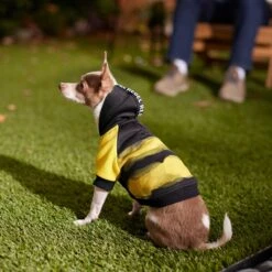 Frisco Rebel Dog & Cat Hoodie -Frisco 267994 PT6. AC SS1800 V1637730463