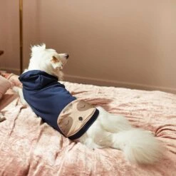 Frisco Sloth Pocket Dog & Cat Lightweight Hoodie -Frisco 268018 PT6. AC SS1800 V1637730205