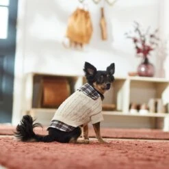 Frisco Cream Cable Knit Dog & Cat Sweater, White/Red Plaid 15 Frisco Cream Cable Knit Dog & Cat Sweater, White/Red Plaid -Frisco 268057 PT8. AC SS1800 V1629766069