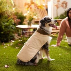 Frisco Mediumweight Cotton Duck Canvas Dog & Cat Jacket, Tan -Frisco 268223 PT8. AC SS1800 V1629767022