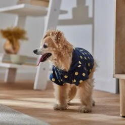 Frisco Lightweight Gold Dotted Dog & Cat Jacket, Navy 15 Frisco Lightweight Gold Dotted Dog & Cat Jacket, Navy -Frisco 268247 PT8. AC SS1800 V1629758988