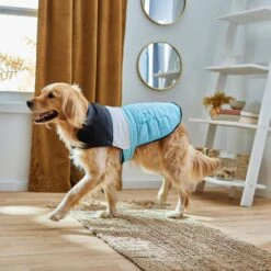 Frisco Mediumweight Colorblock Insulated Dog & Cat Puffer Coat With Pocket, Blue -Frisco 268311 PT8. AC SS1800 V1629766581