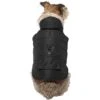 Frisco Mid-Heavyweight Cinching Insulated Dog & Cat Parka, Black/Red Plaid 1 Frisco Mid-Heavyweight Cinching Insulated Dog & Cat Parka, Black/Red Plaid -Frisco 268382 MAIN. AC SS1800 V1628790692