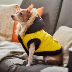 Frisco Heavyweight Anchorage Insulated Dog & Cat Parka, Yellow/Black -Frisco 268397 PT8. AC SS1800 V1629761431