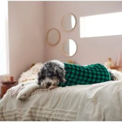 Frisco Dog & Cat Cozy Plush Fleece PJs, Green Plaid -Frisco 268517 PT8. AC SS1800 V1629755447