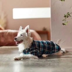 Frisco Multi-Plaid Dog & Cat Flannel Shirt 18 Frisco Multi-Plaid Dog & Cat Flannel Shirt -Frisco 268588 PT7. AC SS1800 V1637674022