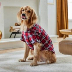 Frisco Red Plaid Dog & Cat Shirt 19 Frisco Red Plaid Dog & Cat Shirt -Frisco 268604 PT8. AC SS1800 V1629757681