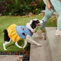 Frisco Chambray Plaid Dog & Cat Dress 17 Frisco Chambray Plaid Dog & Cat Dress -Frisco 268637 PT8. AC SS1800 V1629757964