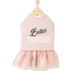Frisco Better Together Dog & Cat Dress