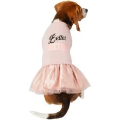 Frisco Better Together Dog & Cat Dress 11 Frisco Better Together Dog & Cat Dress -Frisco 268652 PT2. AC SS1800 V1637672268