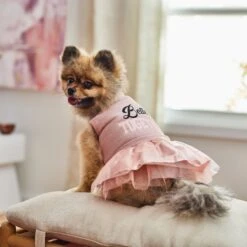Frisco Better Together Dog & Cat Dress 15 Frisco Better Together Dog & Cat Dress -Frisco 268652 PT8. AC SS1800 V1629767211