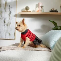 Frisco Chenille Knit Striped Dog & Cat Dress 14 Frisco Chenille Knit Striped Dog & Cat Dress -Frisco 268668 PT5. AC SS1800 V1637675198