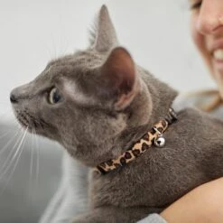 Leopard Print Cat Collar 10 Leopard Print Cat Collar -Frisco 269496 PT4. AC SS1800 V1617037438