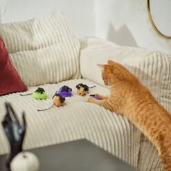 Frisco Halloween Bat Mice Plush Cat Toy With Catnip -Frisco 270353 PT3. AC SS1800 V1624817260