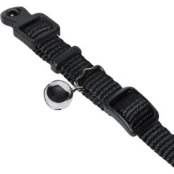 Frisco Nylon Personalized Breakaway Cat Collar With Bell -Frisco 270731 PT2. AC SS1800 V1618936921