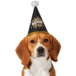 Frisco Happy New Year Dog & Cat Hat -Frisco 276190 PT2. AC SS1800 V1631303599